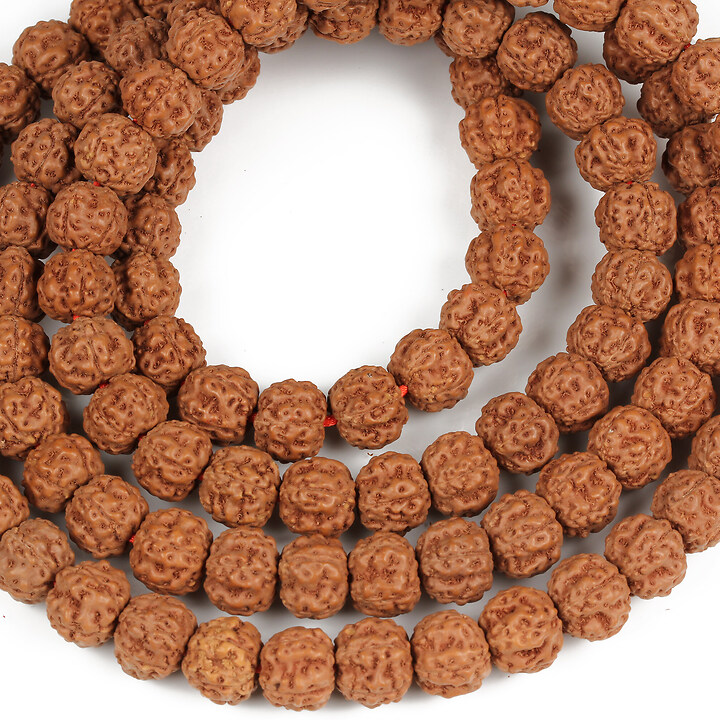 Margele rudraksha 8x10mm (sirag)