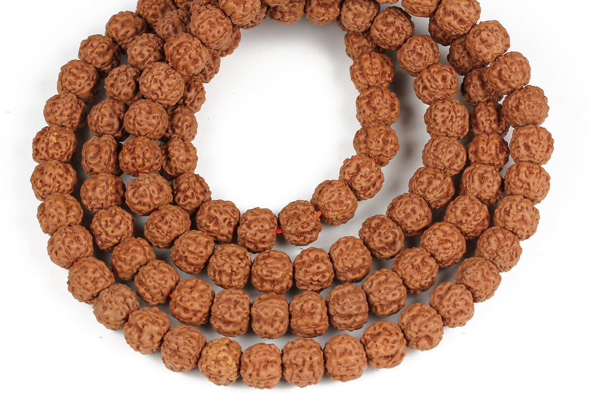 Margele rudraksha 8x10mm (sirag)