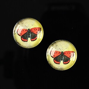 Cabochon sticla 16mm "Colorful wings" cod 029