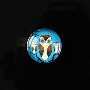 Cabochon sticla 18mm "Cutie owl" cod 078