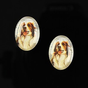 Cabochon sticla 18x13mm "Best friends" cod 223