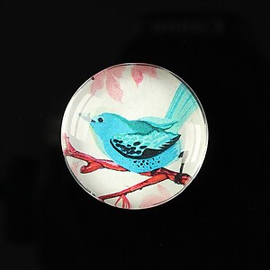 Cabochon sticla 25mm "Bird collection" cod 267