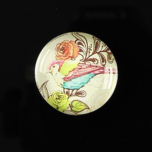 Cabochon sticla 25mm "Bird collection" cod 266