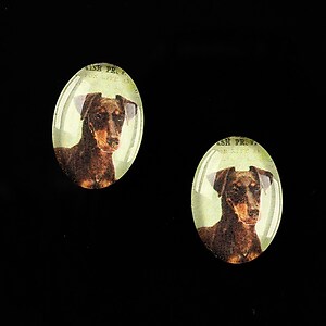 Cabochon sticla 18x13mm "Best friends" cod 225