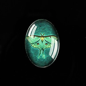 Cabochon sticla 25x18mm "Wings Diversity" cod 402