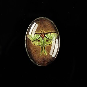 Cabochon sticla 25x18mm "Wings Diversity" cod 404