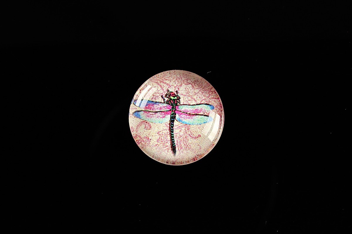 Cabochon sticla 18mm "Colourful Dragonfly" cod 431