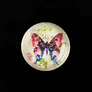 Cabochon sticla 25mm "Beauty of Butterfly" cod 504