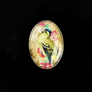 Cabochon sticla 25x18mm "Birds Sounds" cod 512