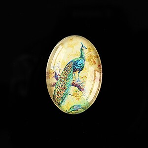 Cabochon sticla 25x18mm "Birds Sounds" cod 513