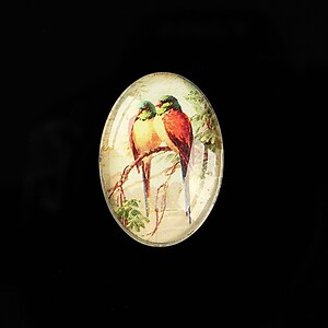 Cabochon sticla 25x18mm "Birds Sounds" cod 514