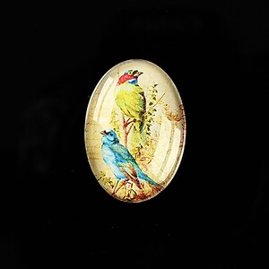 Cabochon sticla 25x18mm "Birds Sounds" cod 516