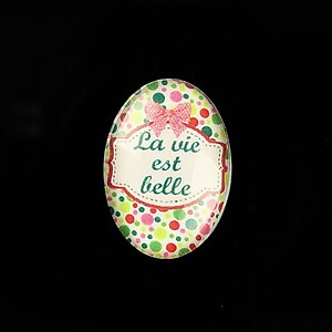 Cabochon sticla 25x18mm "La Vie et Belle" cod 818