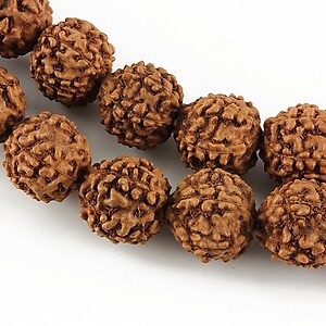 Margele Rudraksha 5 fete - aprox. 11-12mm