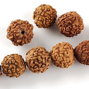 Margele Rudraksha 5 fete - aprox. 12-13mm