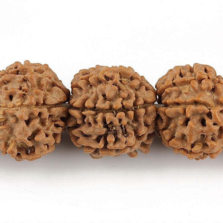 Margele Rudraksha 6 fete - aprox. 16-18mm