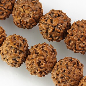 Margele Rudraksha 6 fete - aprox. 14mm